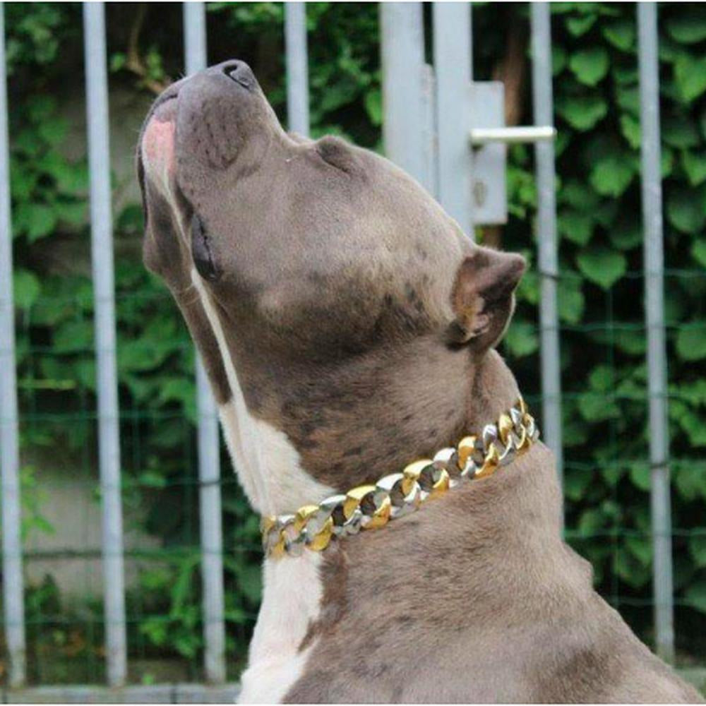 Capone Curb Link - Small Size Range | Luxury Collar