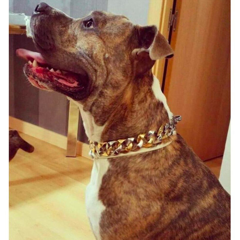 Capone Curb Link - Large Size Range | Luxury Collar