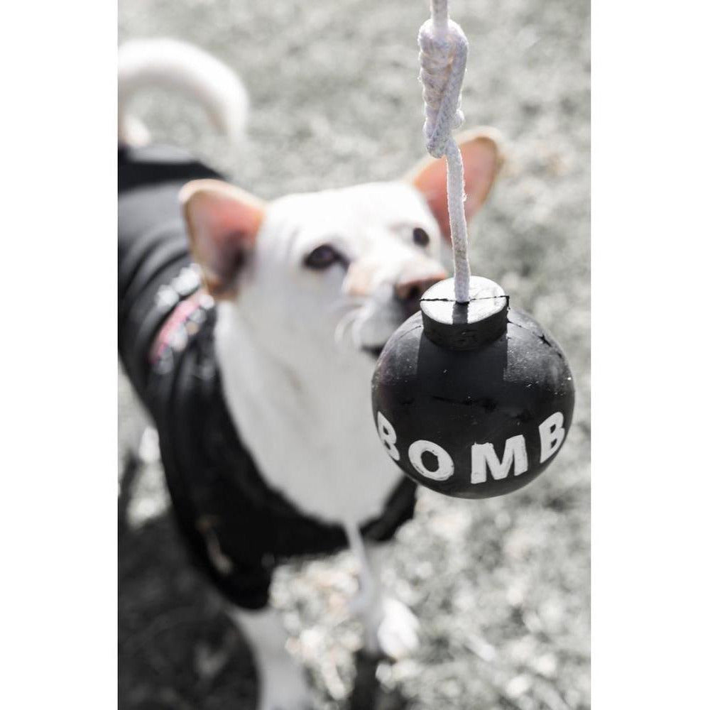 Tuff Bomb | Dog Toy