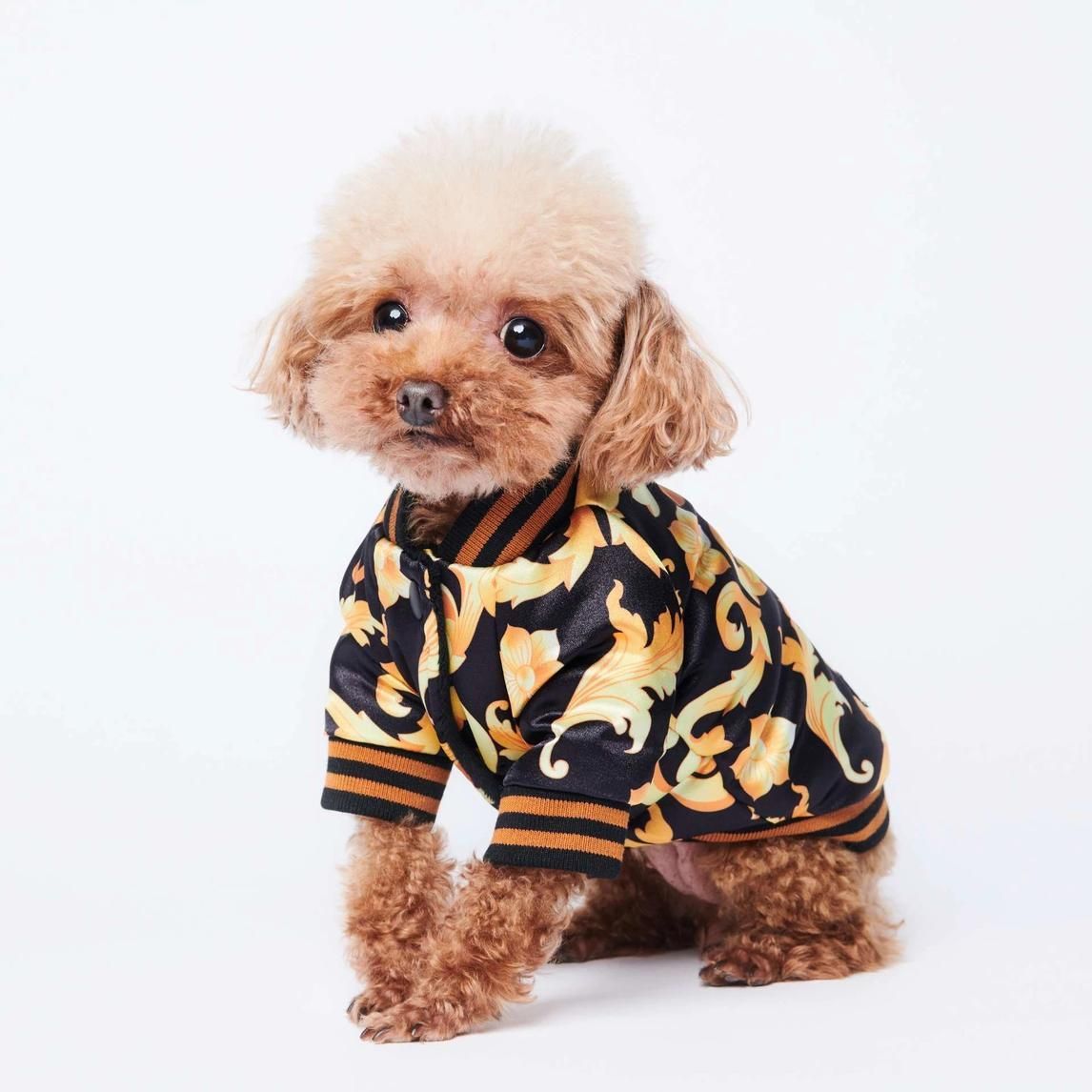 Baroquoe Satin Jacket | Dog Clothing