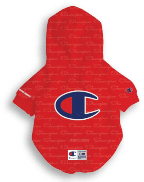 Champion repeat hoodie cheap