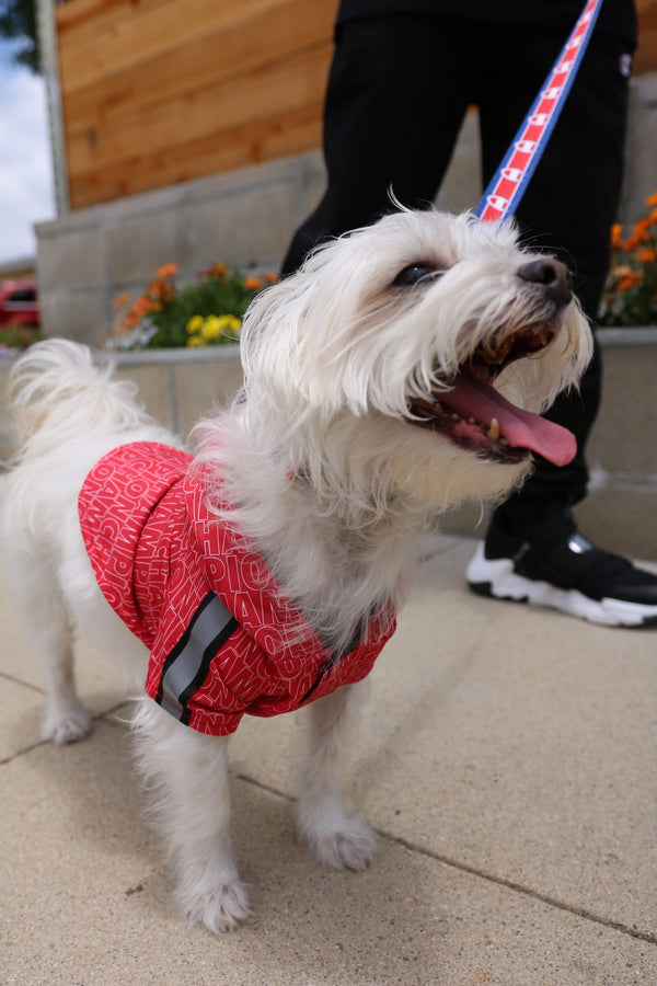 Champion X Fresh Pawz Rain Jacket Dog Clothing