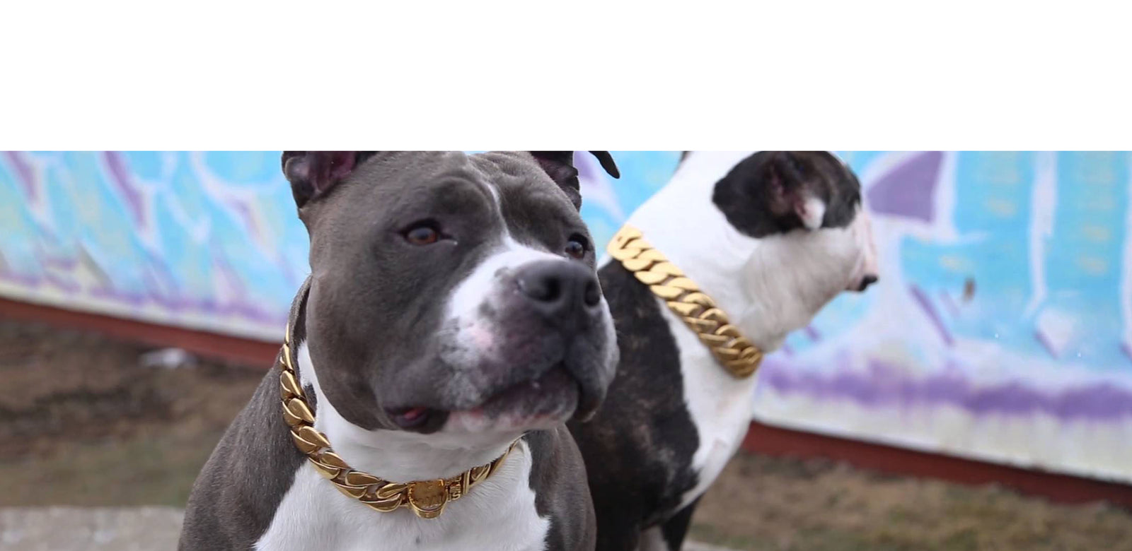 New Product Drop: The Luxury Collection