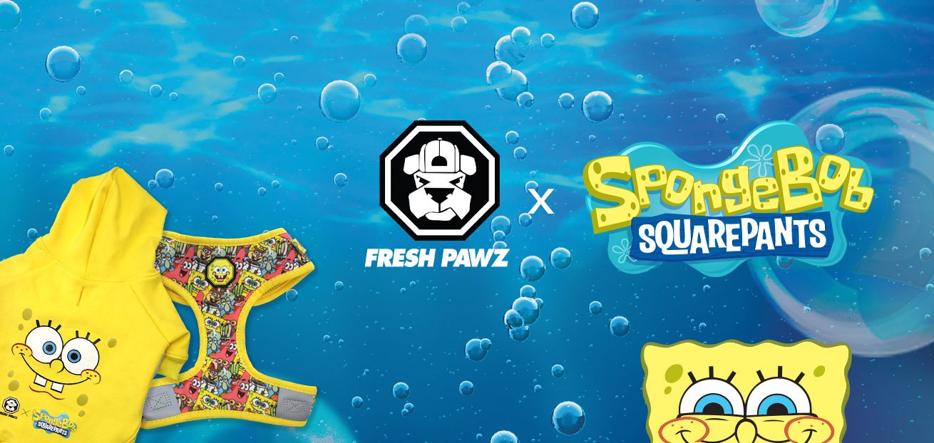 Spongebob x Fresh Pawz Collab