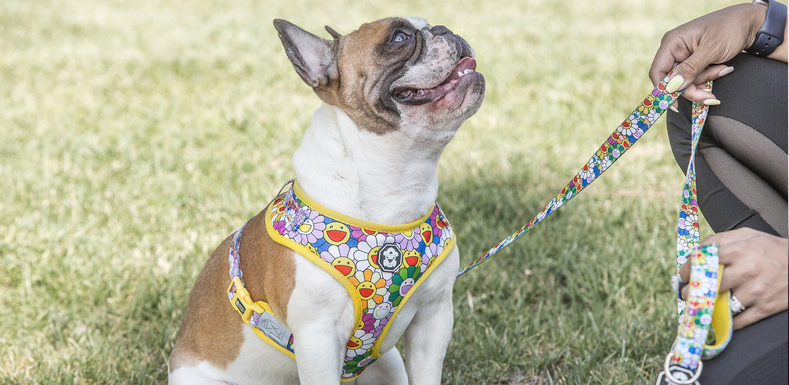 Fresh Pawz SZN 2: Luxury Inspired