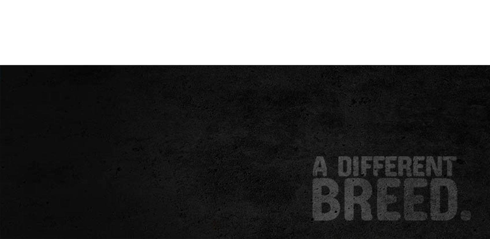 A Different Breed: The New Age of Dog Brands