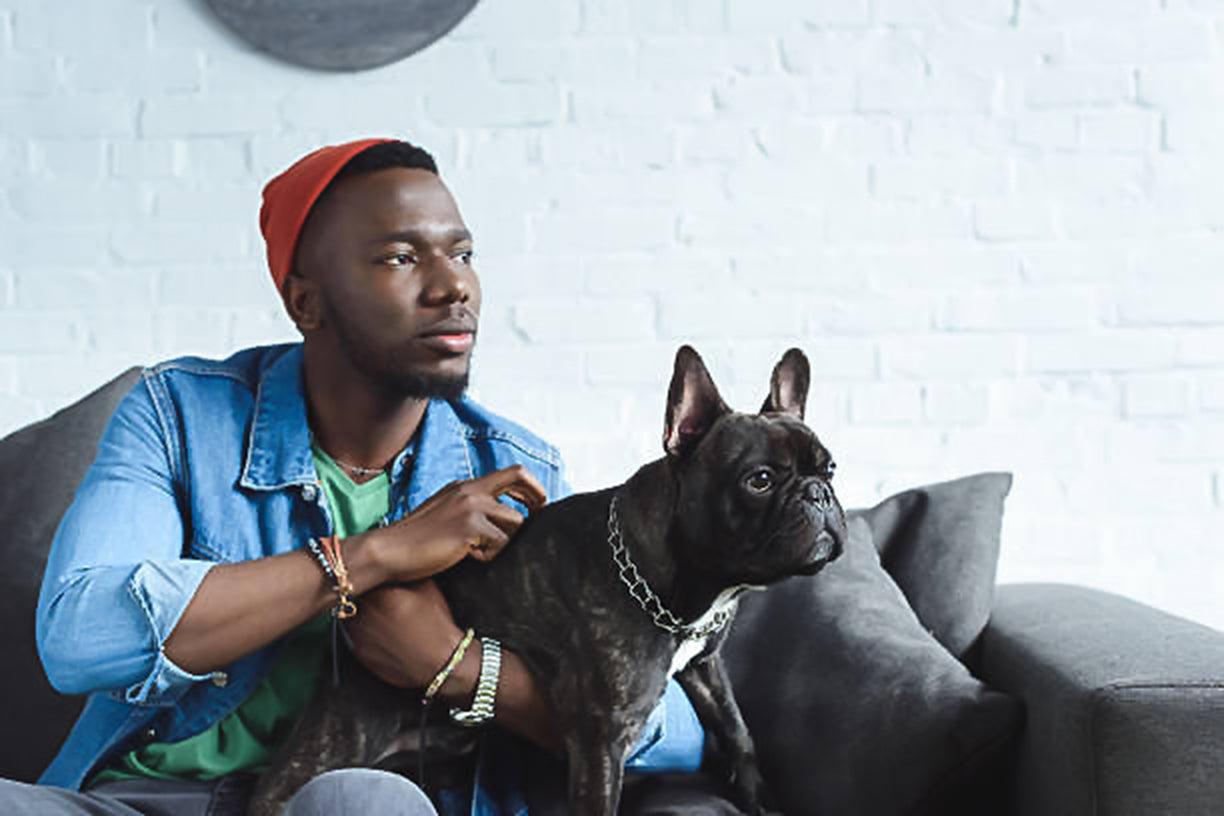Black-Owned Pet Businesses to Support in 2020