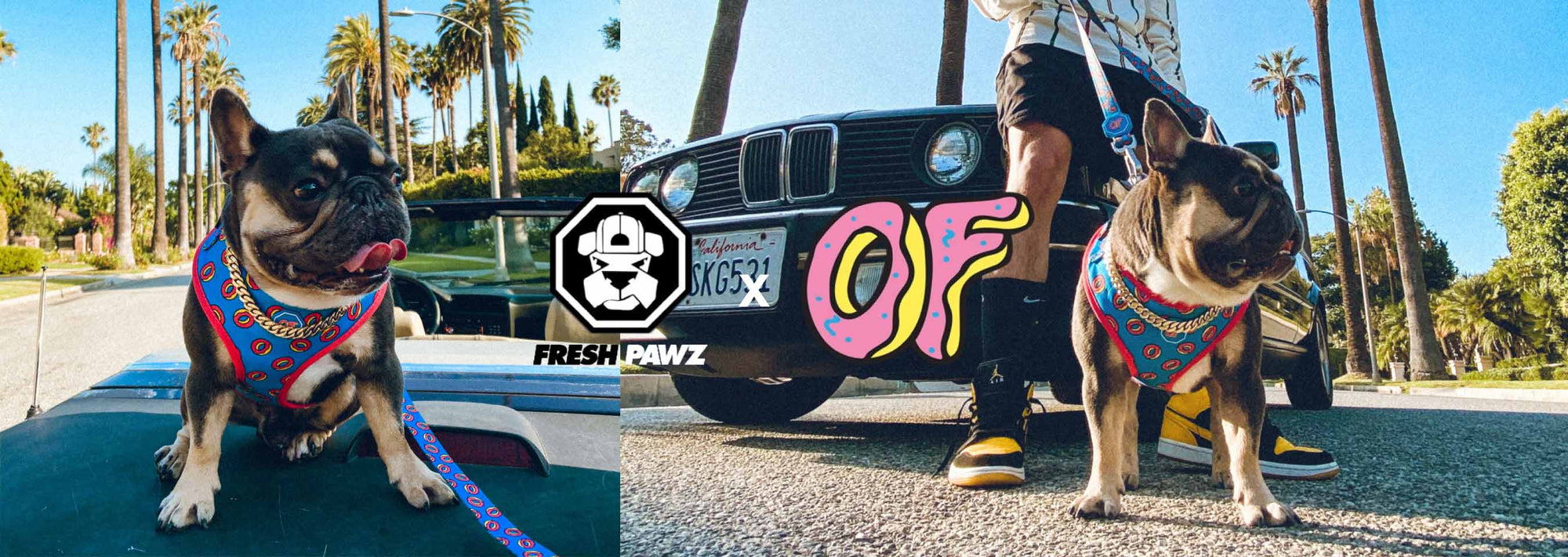 Odd Future Collab Launches Exclusively at Zumiez!