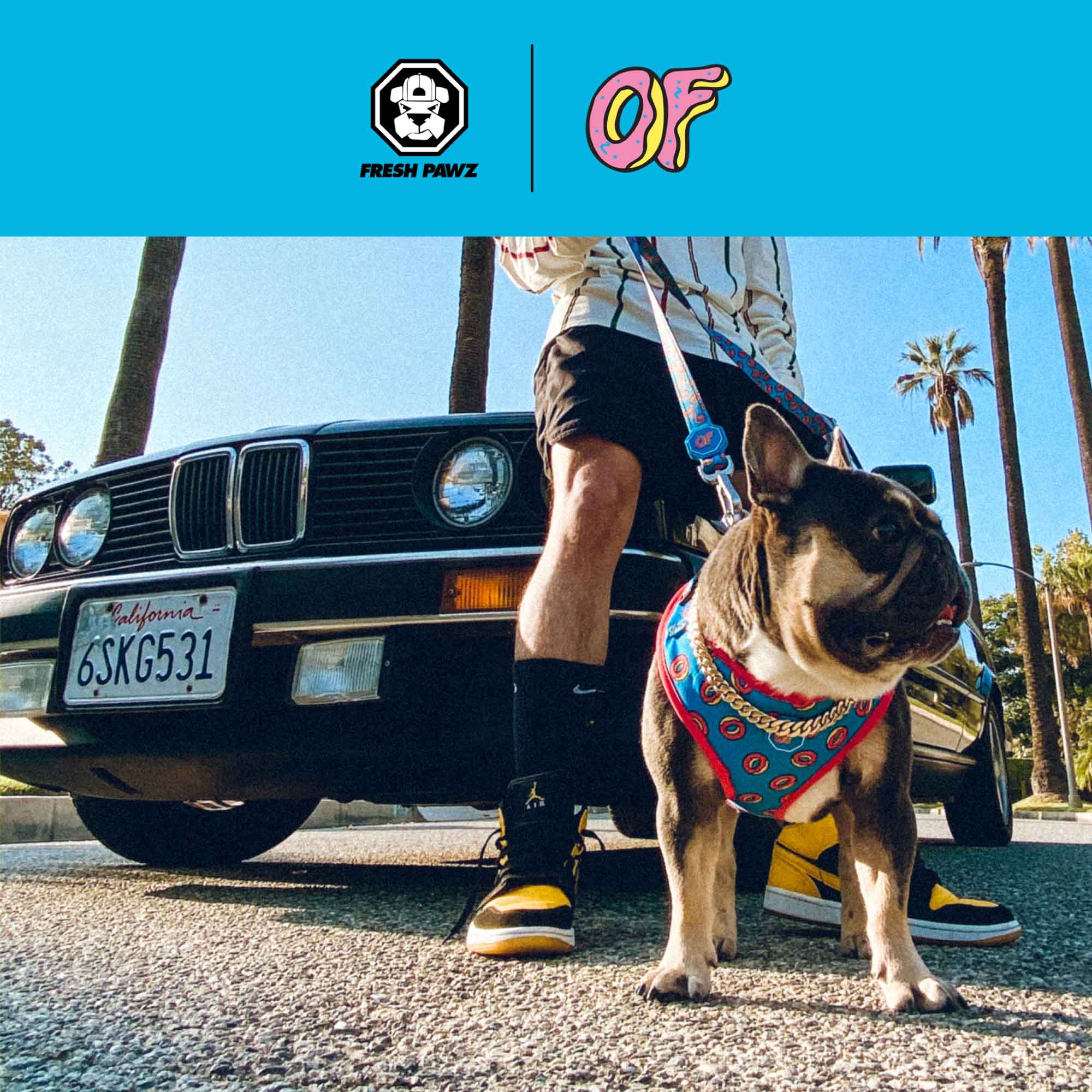 Dog streetwear Spotify album cover