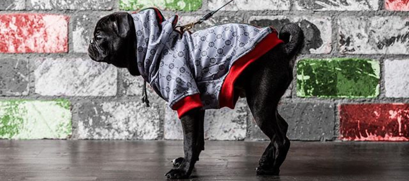 houston astros dog clothes