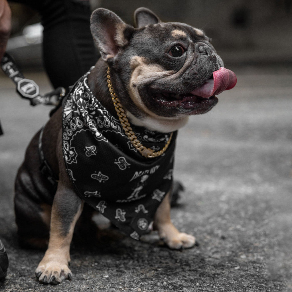 The Hype Puppy - Streetwear Fashion For Pets