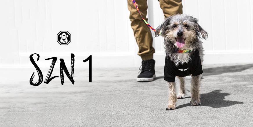 Chewnel Graffiti Dog Sweater | Paws Circle | Streetwear for Dog XL