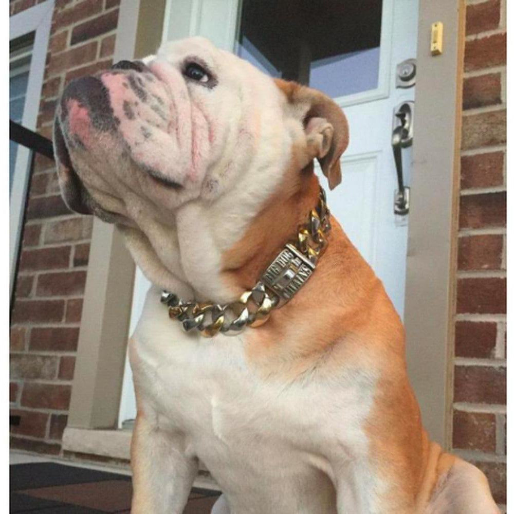 Capone Curb Link - Large Size Range | Luxury Collar
