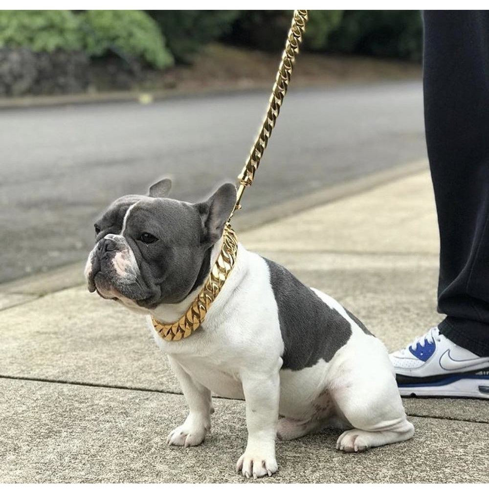 thumbnail image 2 of Heavy Duty Stainless Steel Cuban Link Dog Chain Collar - Thick Adjustable For Pitbull, Rottweiler, Lab (Gold/Silver) 2 of 5