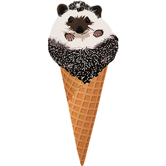 Mr Pokee the Hedgehog | Air Freshener