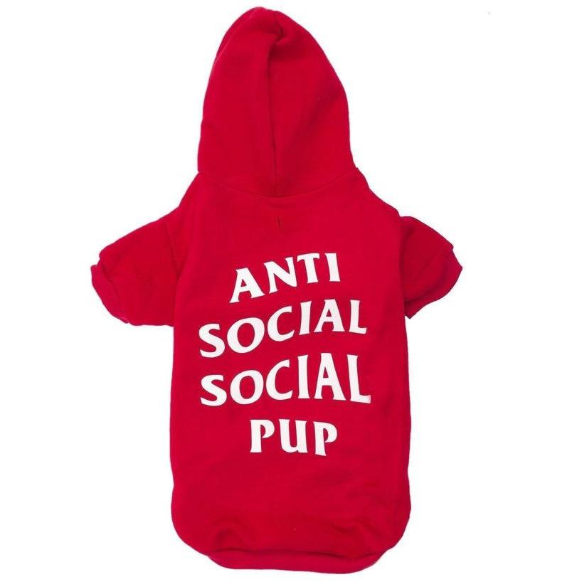 Anti Social Social Pup Hoodie | Dog Clothing