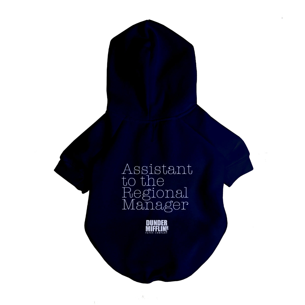 The Office Assistant To Regional Manager Hoodie