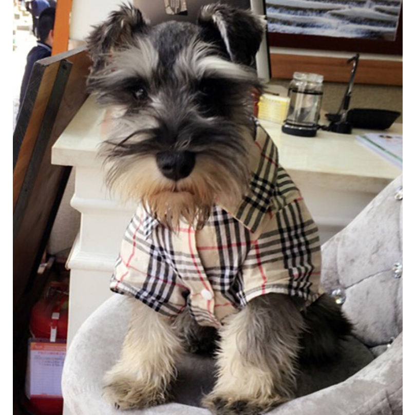 Furberry Checkered Button Up | Dog Clothing